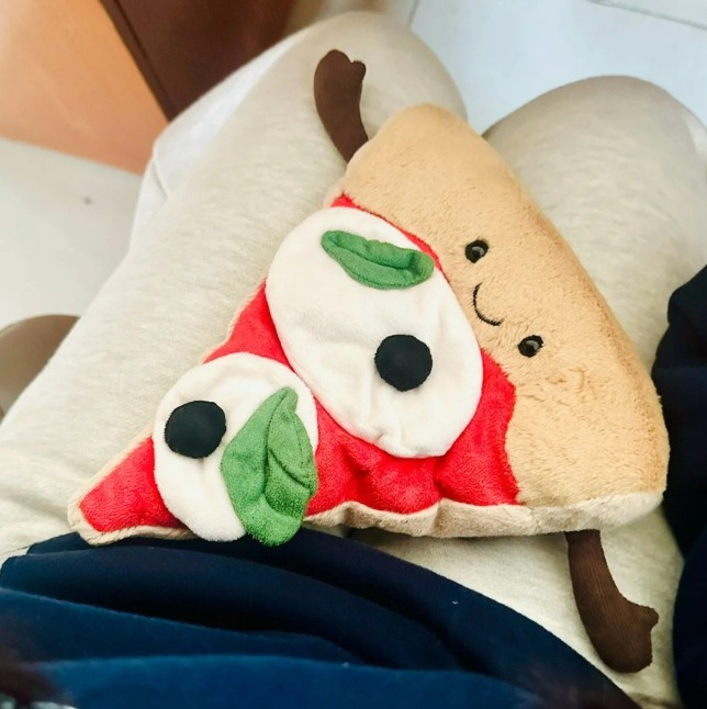 Hamburger pizza ornament cadea - Home Textiles Today recensie en prijs